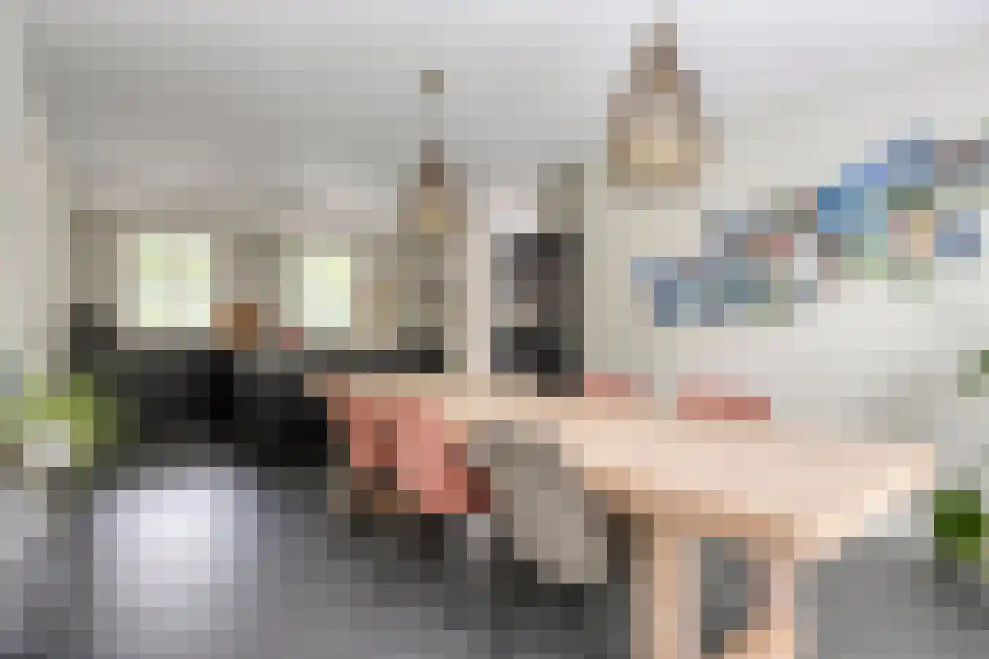 Veehuisehoeve 6 Helmond thumbnail 22