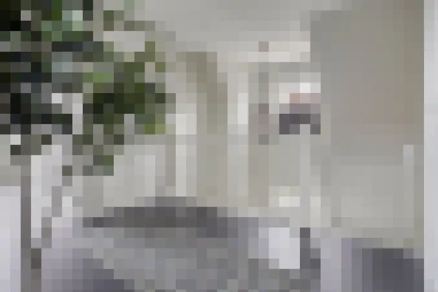 Veehuisehoeve 6 Helmond thumbnail 28