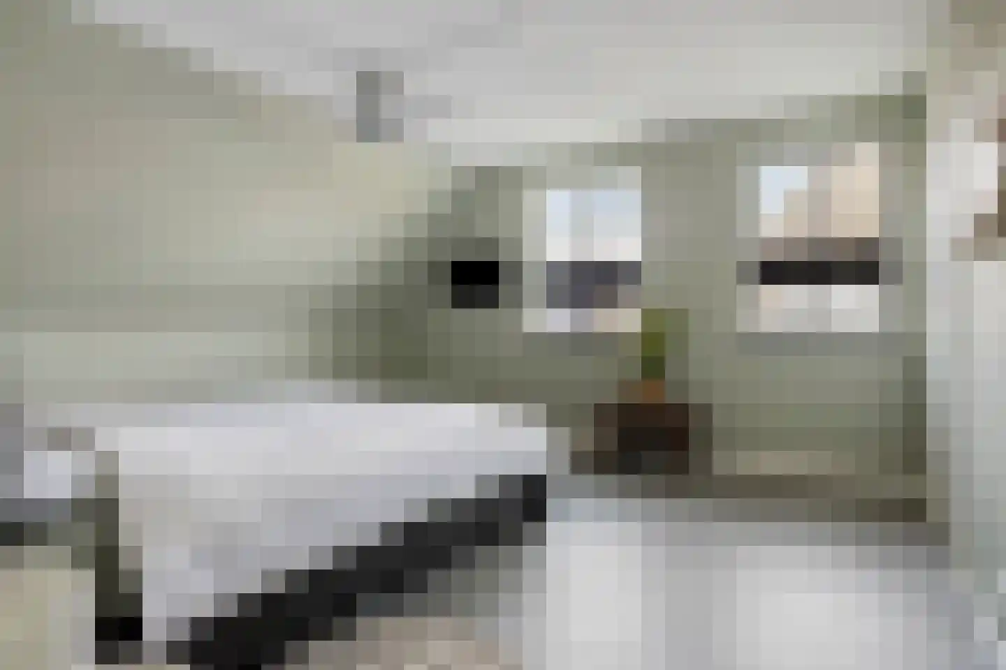 Veehuisehoeve 6 Helmond thumbnail 29