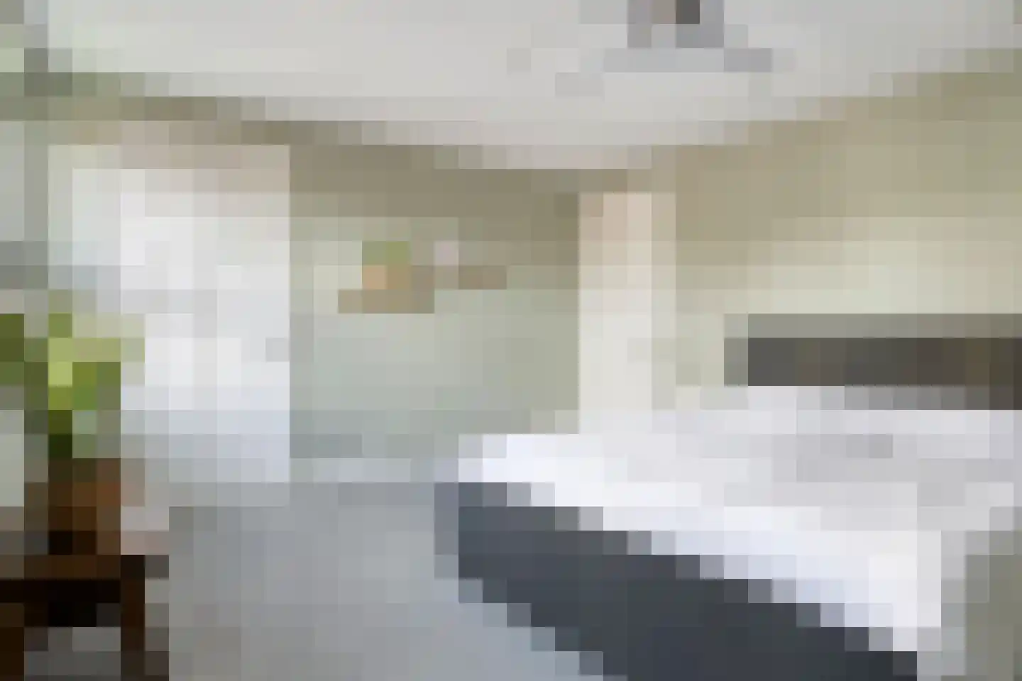 Veehuisehoeve 6 Helmond thumbnail 30