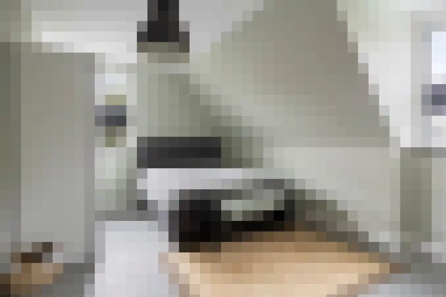 Veehuisehoeve 6 Helmond thumbnail 35