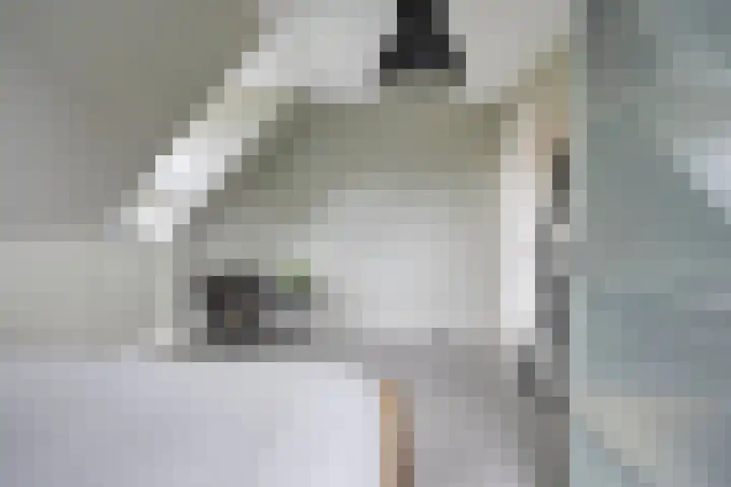 Veehuisehoeve 6 Helmond thumbnail 36