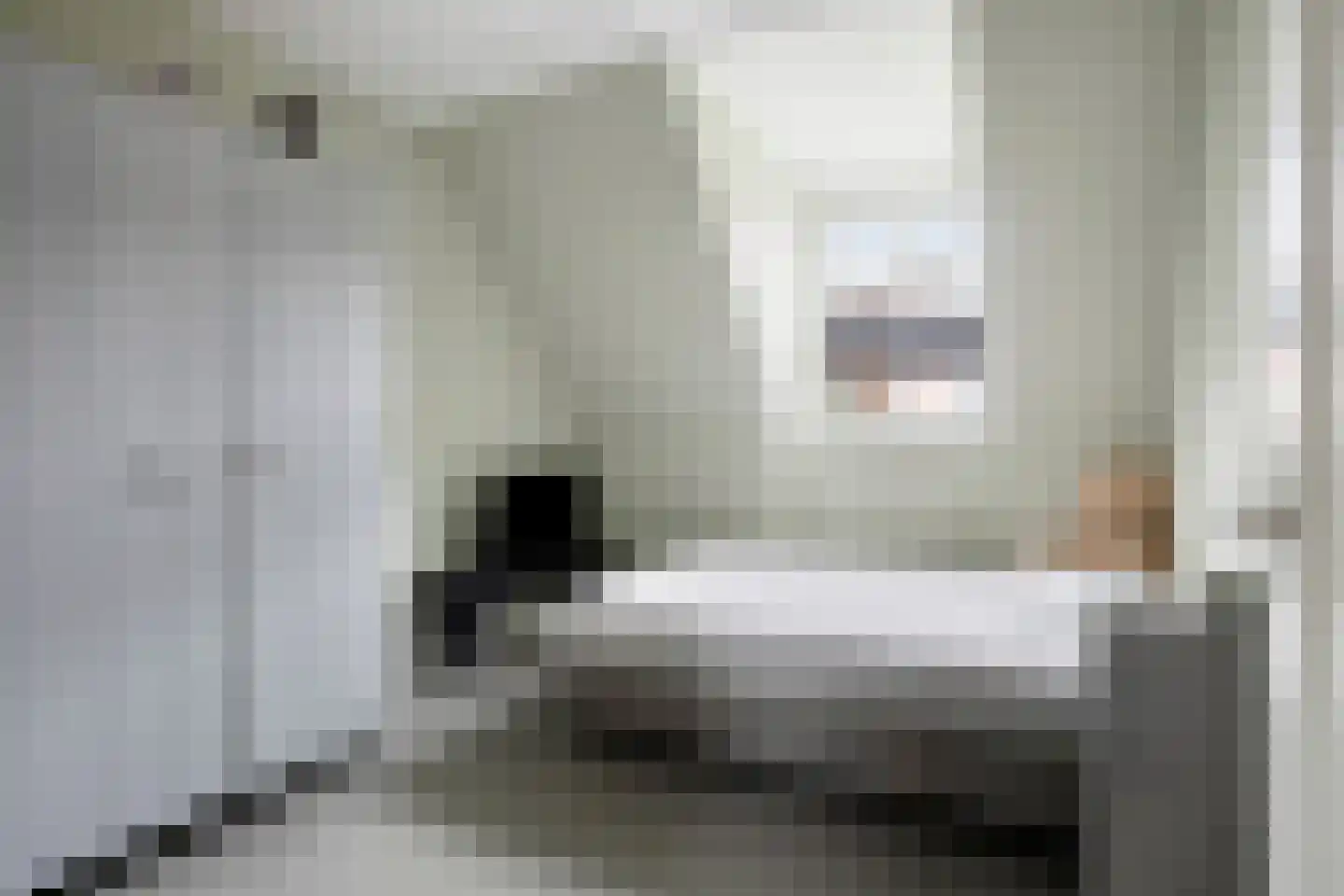 Veehuisehoeve 6 Helmond thumbnail 37
