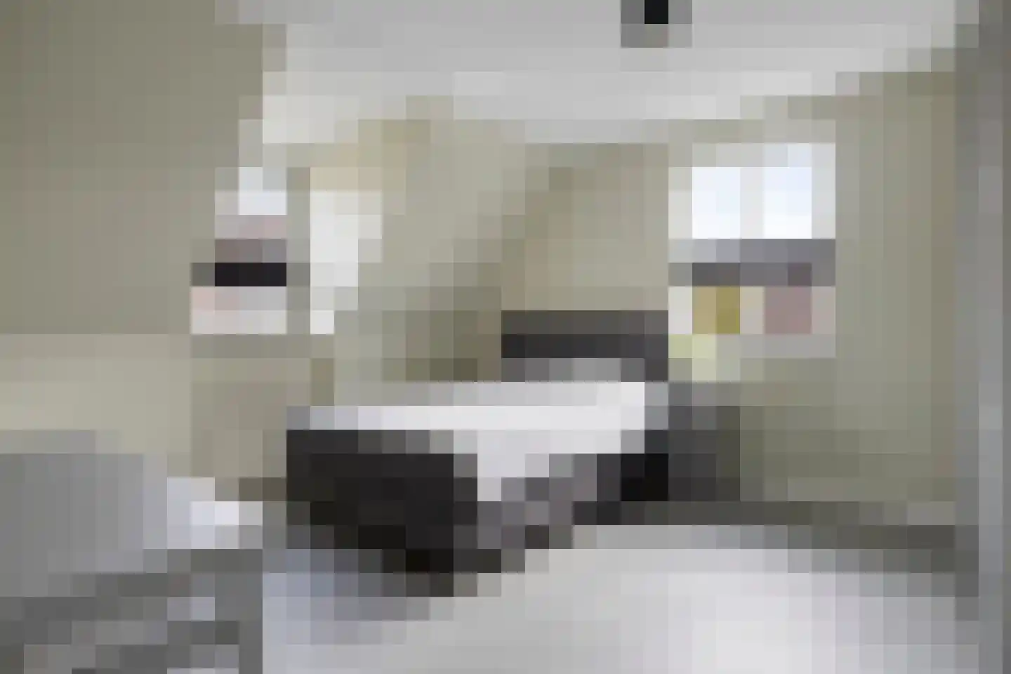 Veehuisehoeve 6 Helmond thumbnail 38