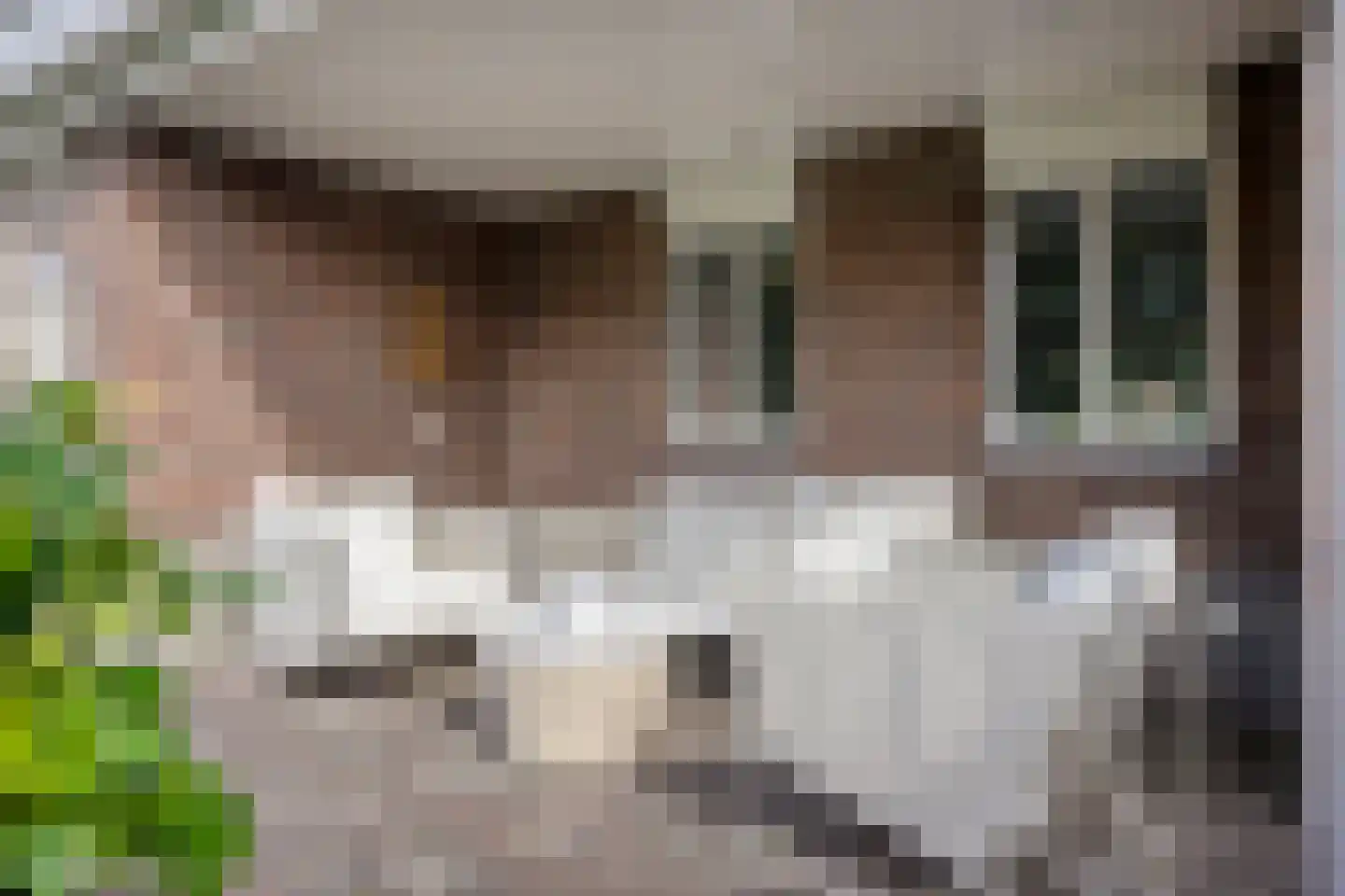 Veehuisehoeve 6 Helmond thumbnail 45