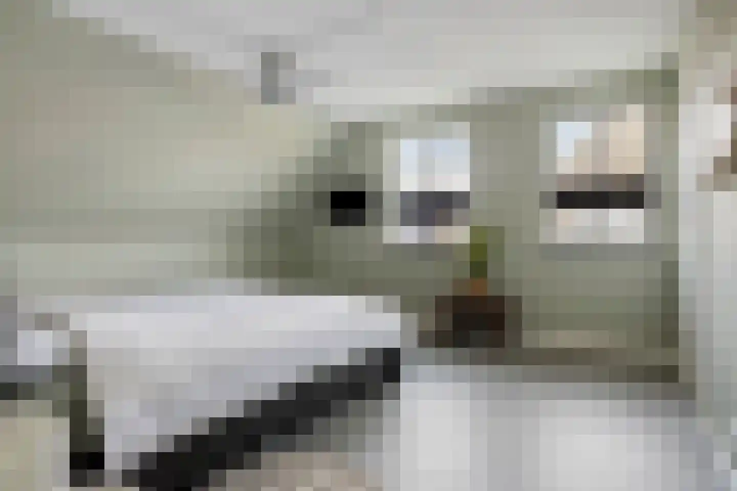Veehuisehoeve 6 Helmond thumbnail 5
