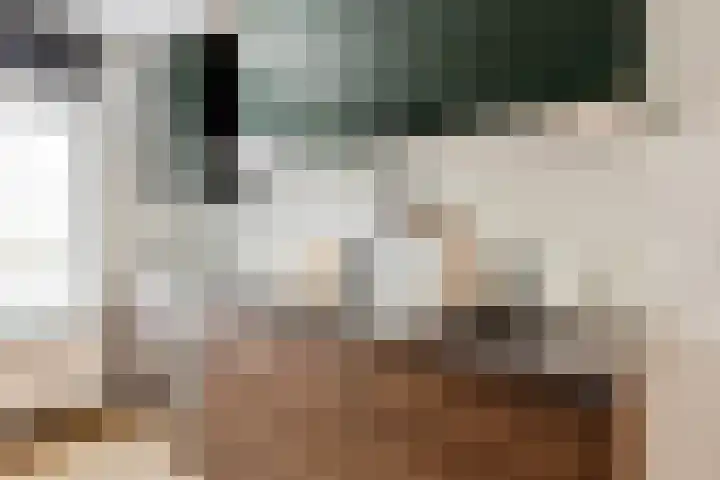 Veelaan 25 Amsterdam thumbnail 5