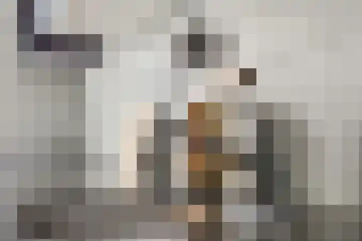 Veelaan 25 Amsterdam thumbnail 6