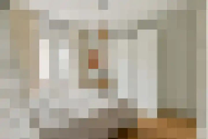 Veelaan 25 Amsterdam thumbnail 7