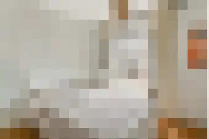 Veelaan 25 Amsterdam thumbnail 8