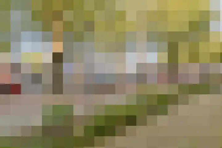 Veelaan 36 Amsterdam thumbnail 10
