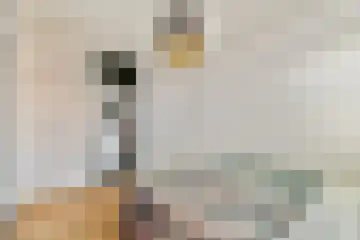 Veelaan 36 Amsterdam thumbnail 12