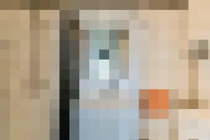 Veelaan 36 Amsterdam thumbnail 13