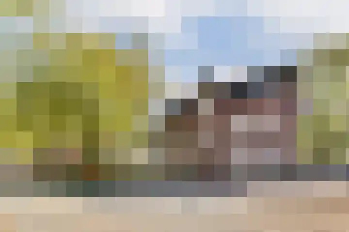 Veelaan 36 Amsterdam thumbnail 16