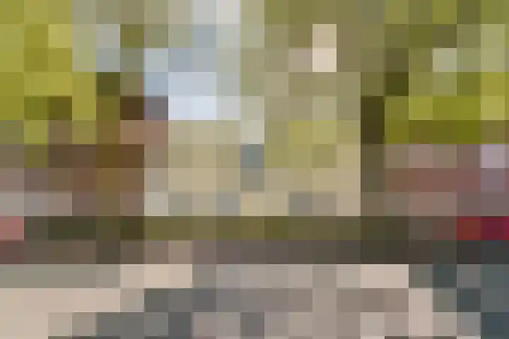 Veelaan 36 Amsterdam thumbnail 23