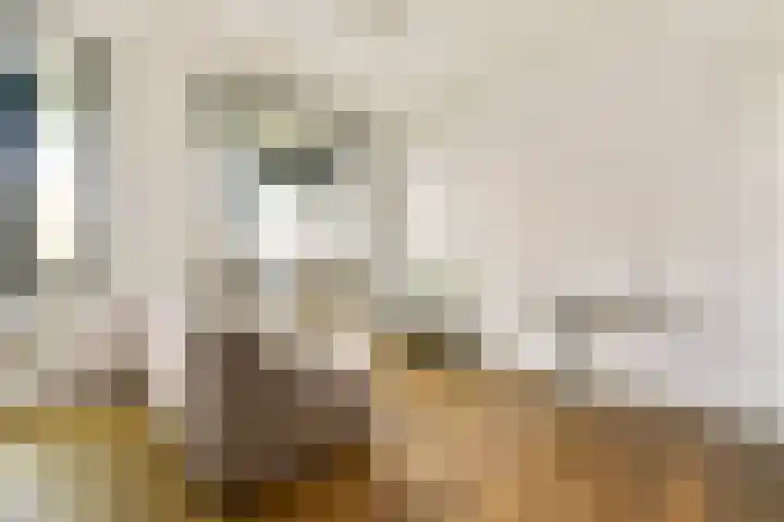 Veelaan 36 Amsterdam thumbnail 4