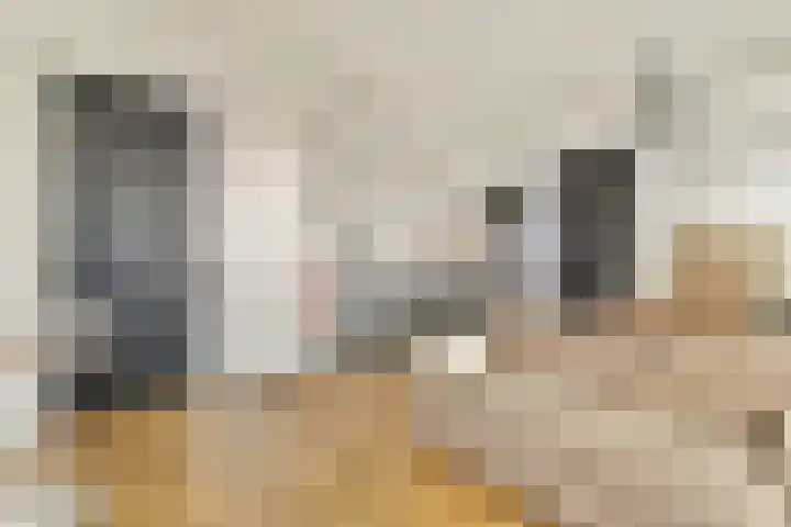 Veelaan 36 Amsterdam thumbnail 5