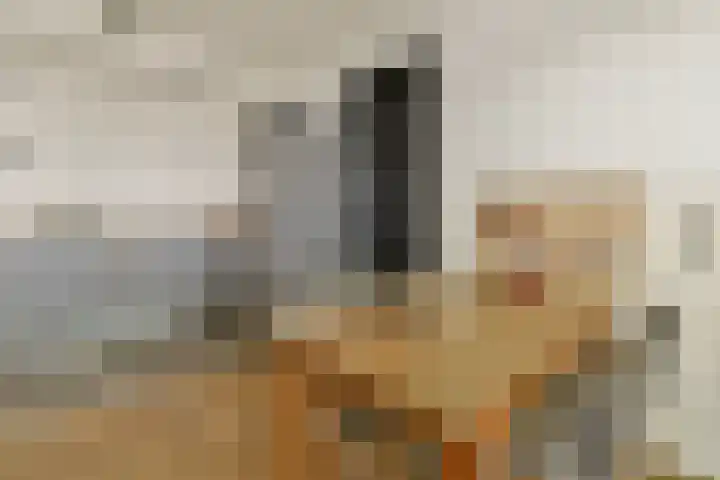 Veelaan 36 Amsterdam thumbnail 6