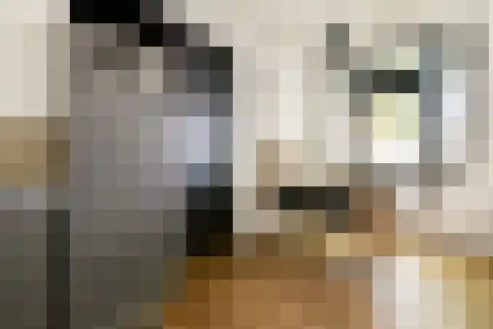 Veelaan 36 Amsterdam thumbnail 8