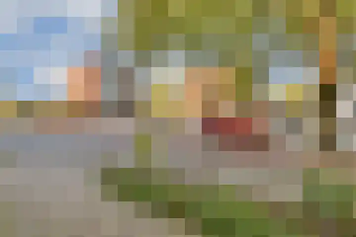 Veelaan 36 Amsterdam thumbnail 9