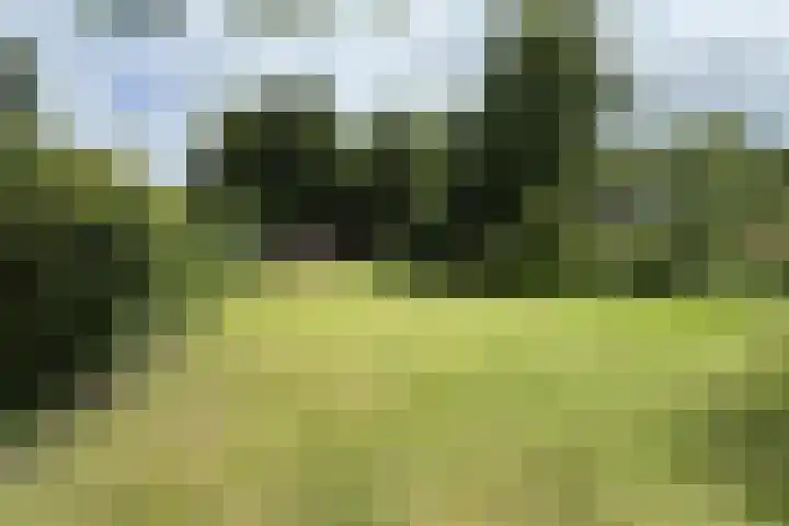 Veelerveensterweg 40 Veelerveen thumbnail 14