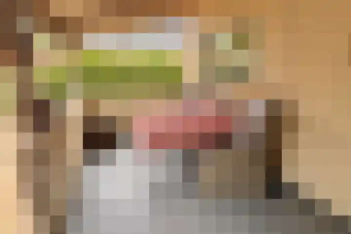 Veelerveensterweg 40 Veelerveen thumbnail 20