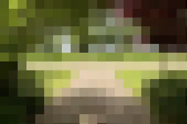 Veelerveensterweg 40 Veelerveen thumbnail 4