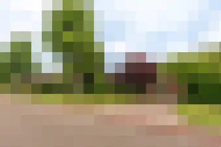 Veelerveensterweg 40 Veelerveen thumbnail 5
