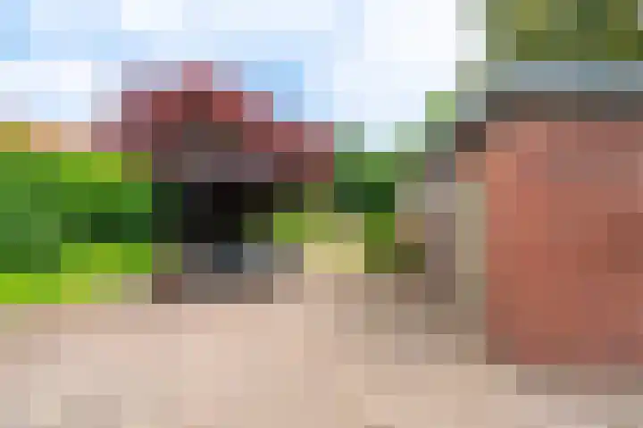 Veelerveensterweg 40 Veelerveen thumbnail 8