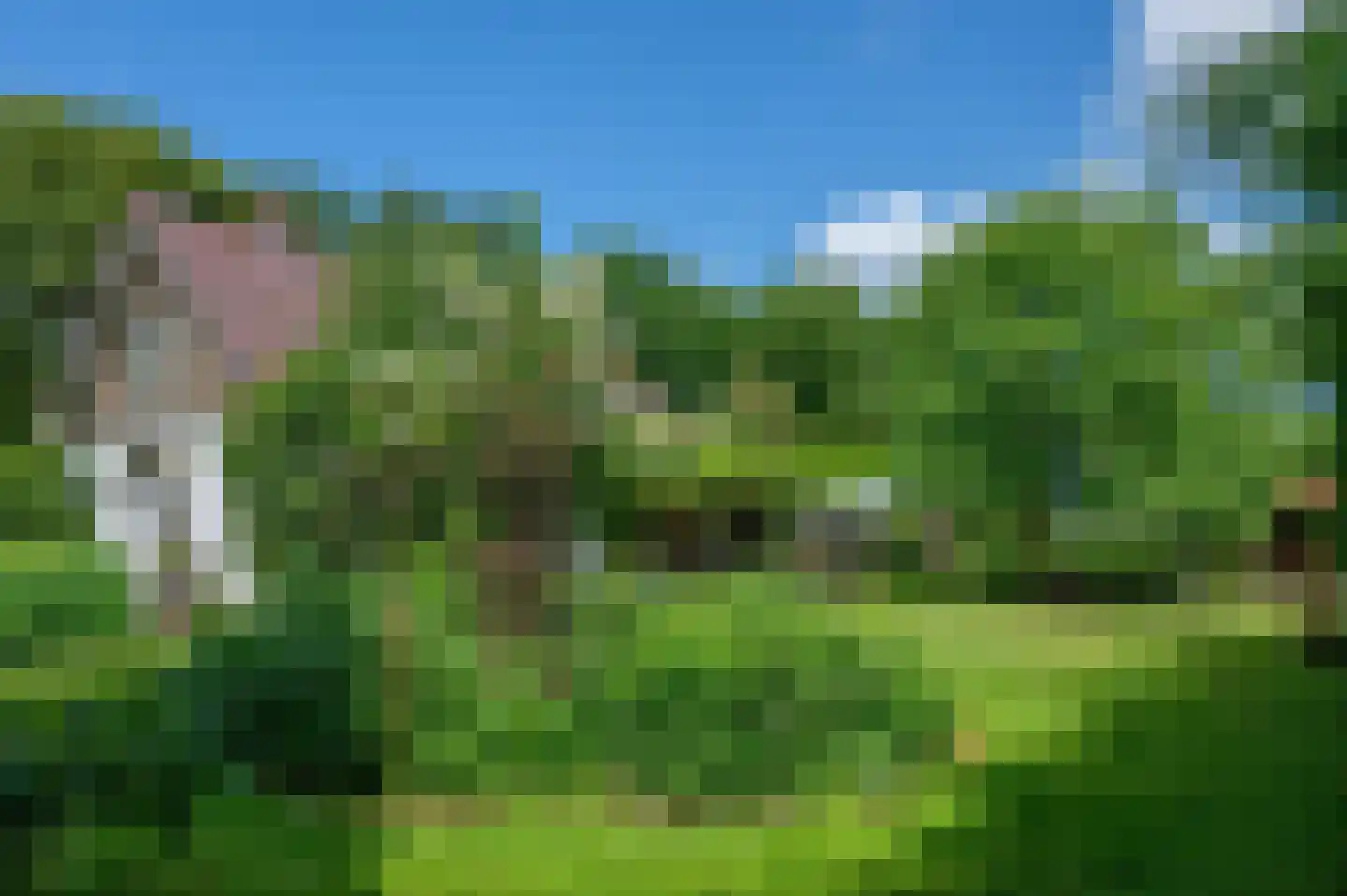 Veelerveensterweg 5 Vlagtwedde thumbnail 12