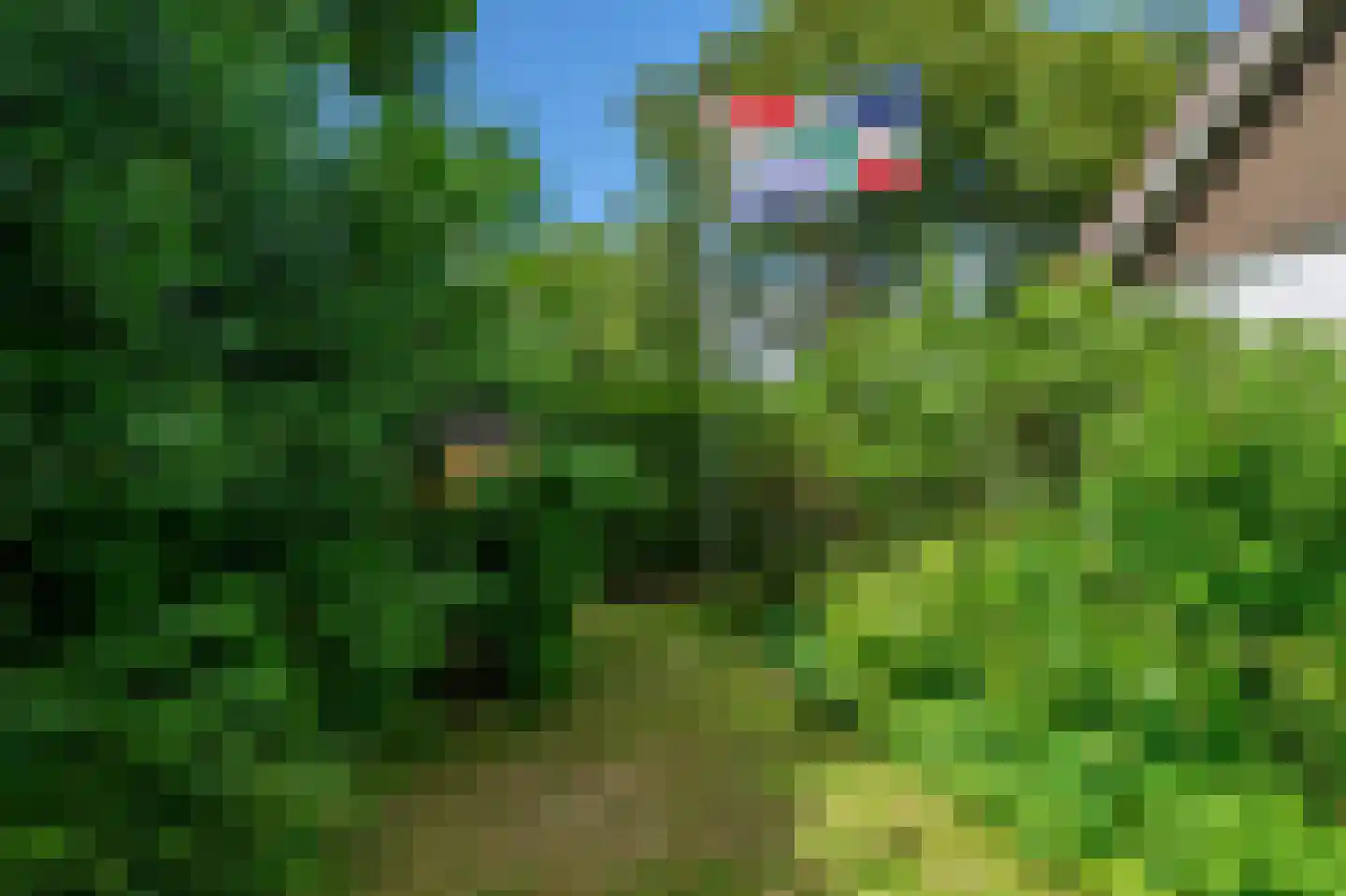 Veelerveensterweg 5 Vlagtwedde thumbnail 18