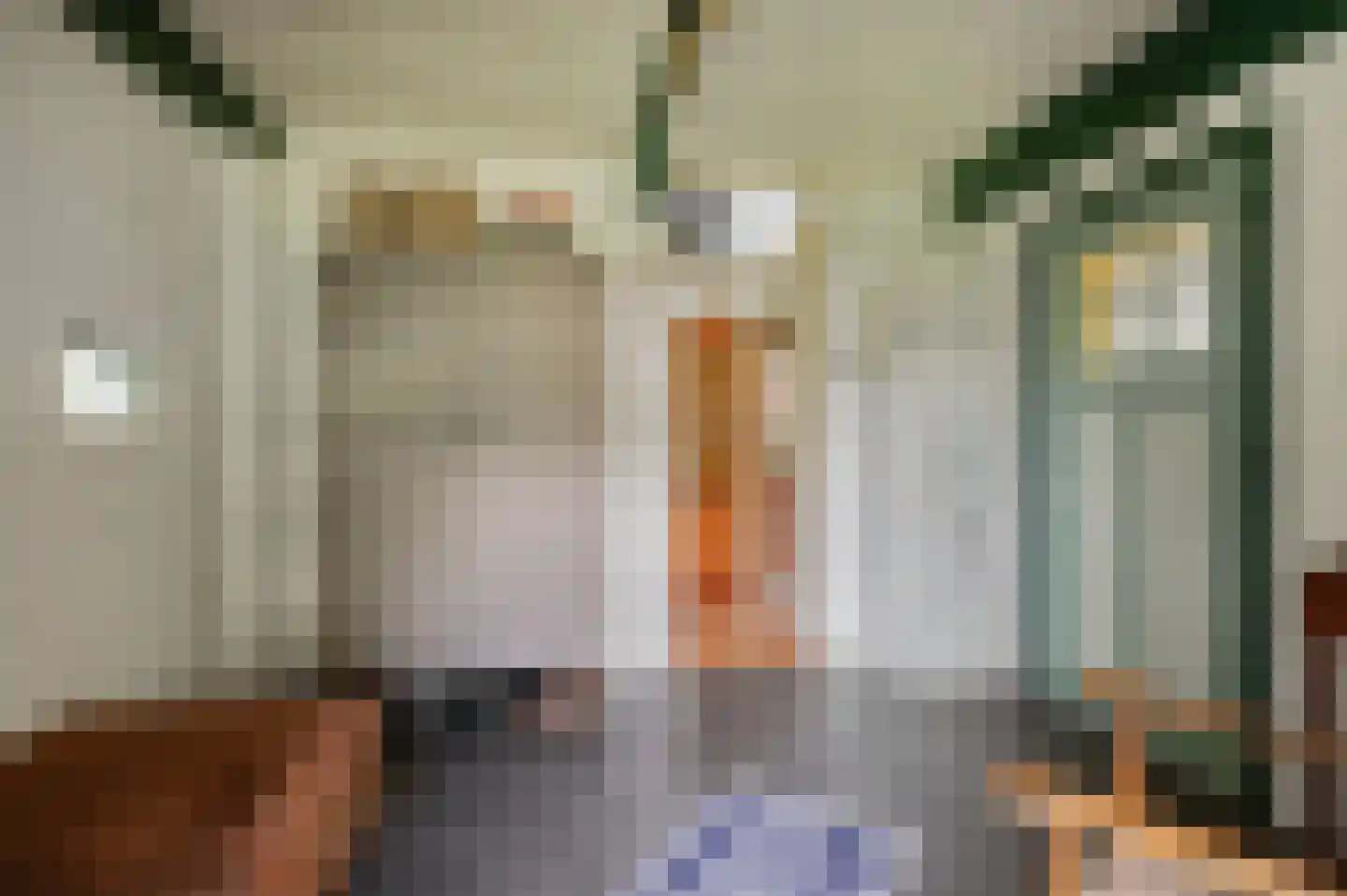 Veelerveensterweg 5 Vlagtwedde thumbnail 31