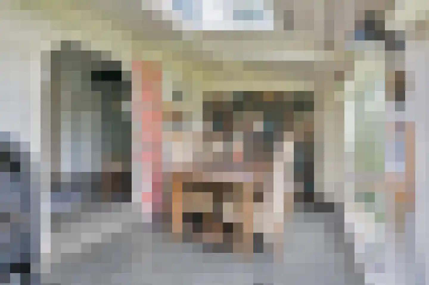 Veelerveensterweg 5 Vlagtwedde thumbnail 35