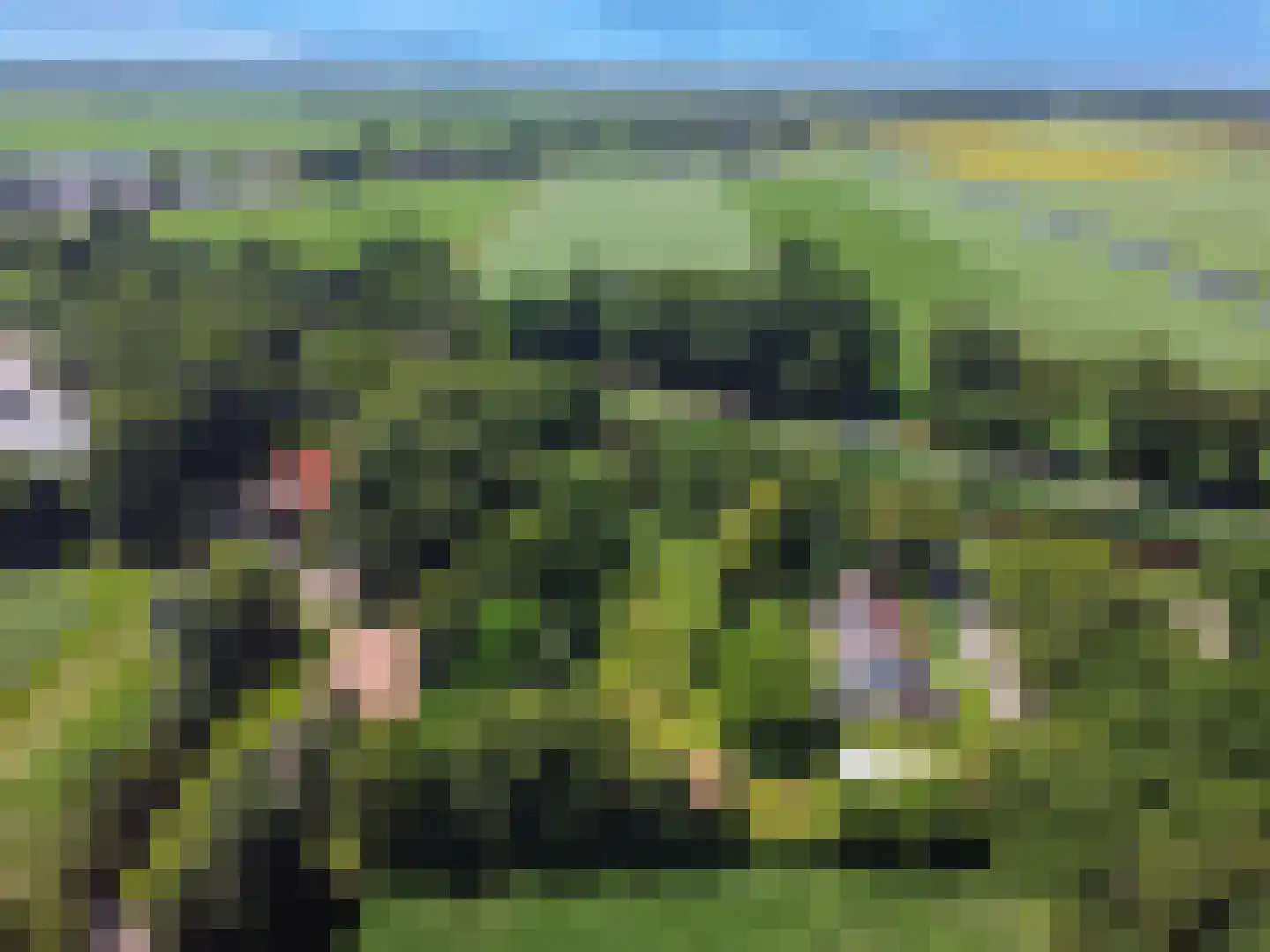 Veelerveensterweg 5 Vlagtwedde thumbnail 4