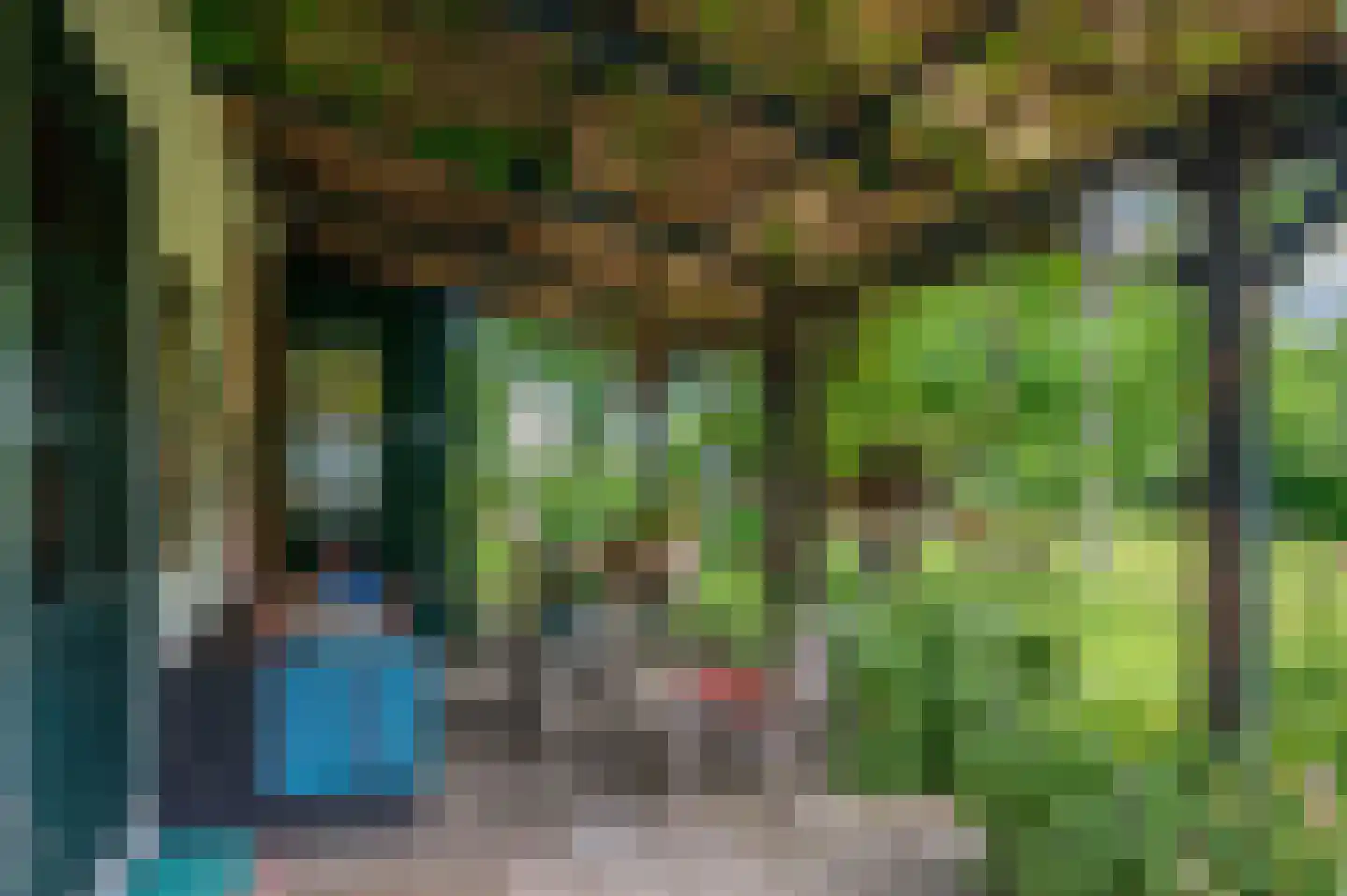 Veelerveensterweg 5 Vlagtwedde thumbnail 47