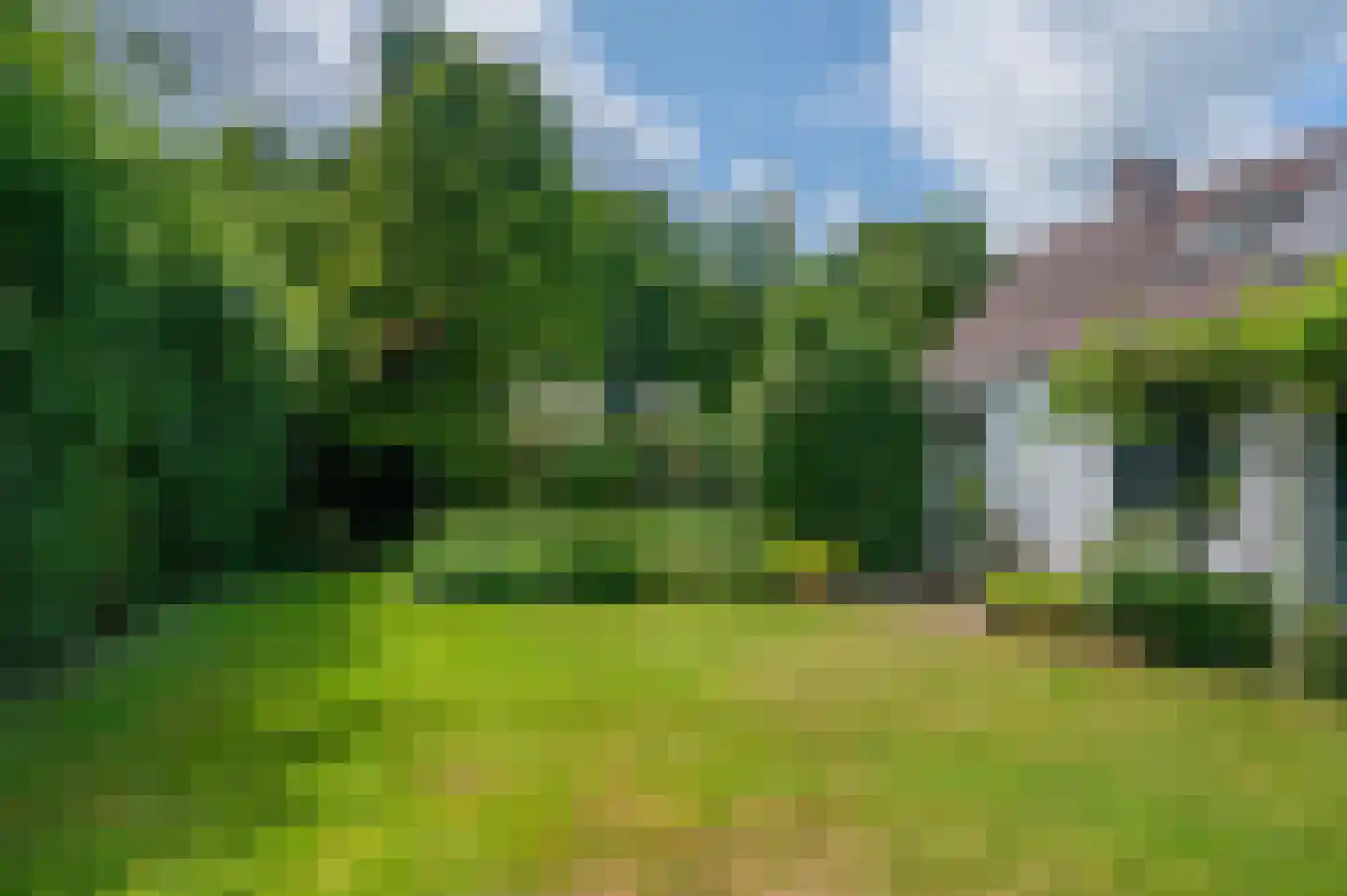 Veelerveensterweg 5 Vlagtwedde thumbnail 48