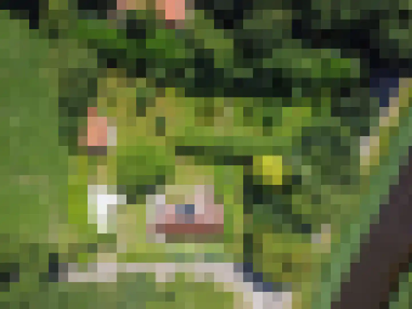 Veelerveensterweg 5 Vlagtwedde thumbnail 5