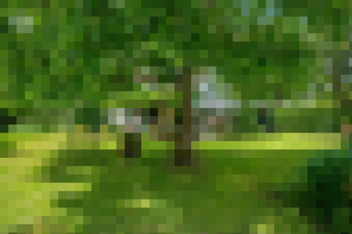 Veelerveensterweg 5 Vlagtwedde thumbnail 50