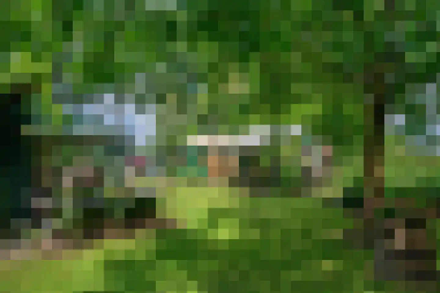 Veelerveensterweg 5 Vlagtwedde thumbnail 52