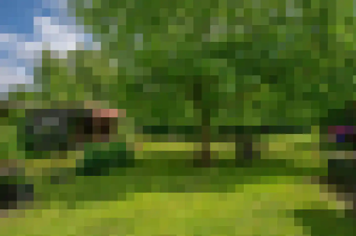 Veelerveensterweg 5 Vlagtwedde thumbnail 54