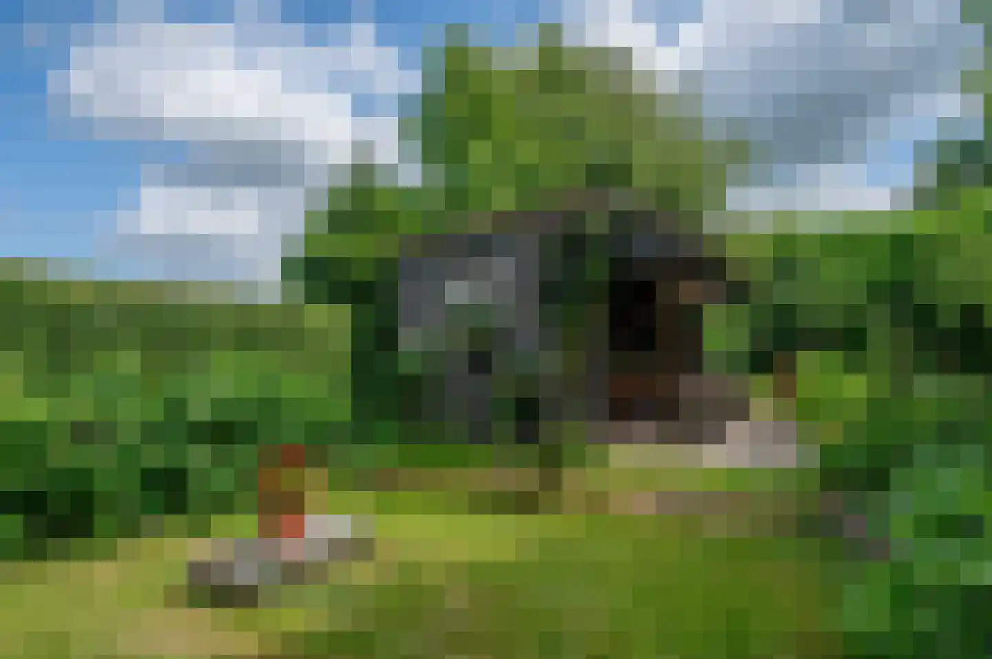 Veelerveensterweg 5 Vlagtwedde thumbnail 55