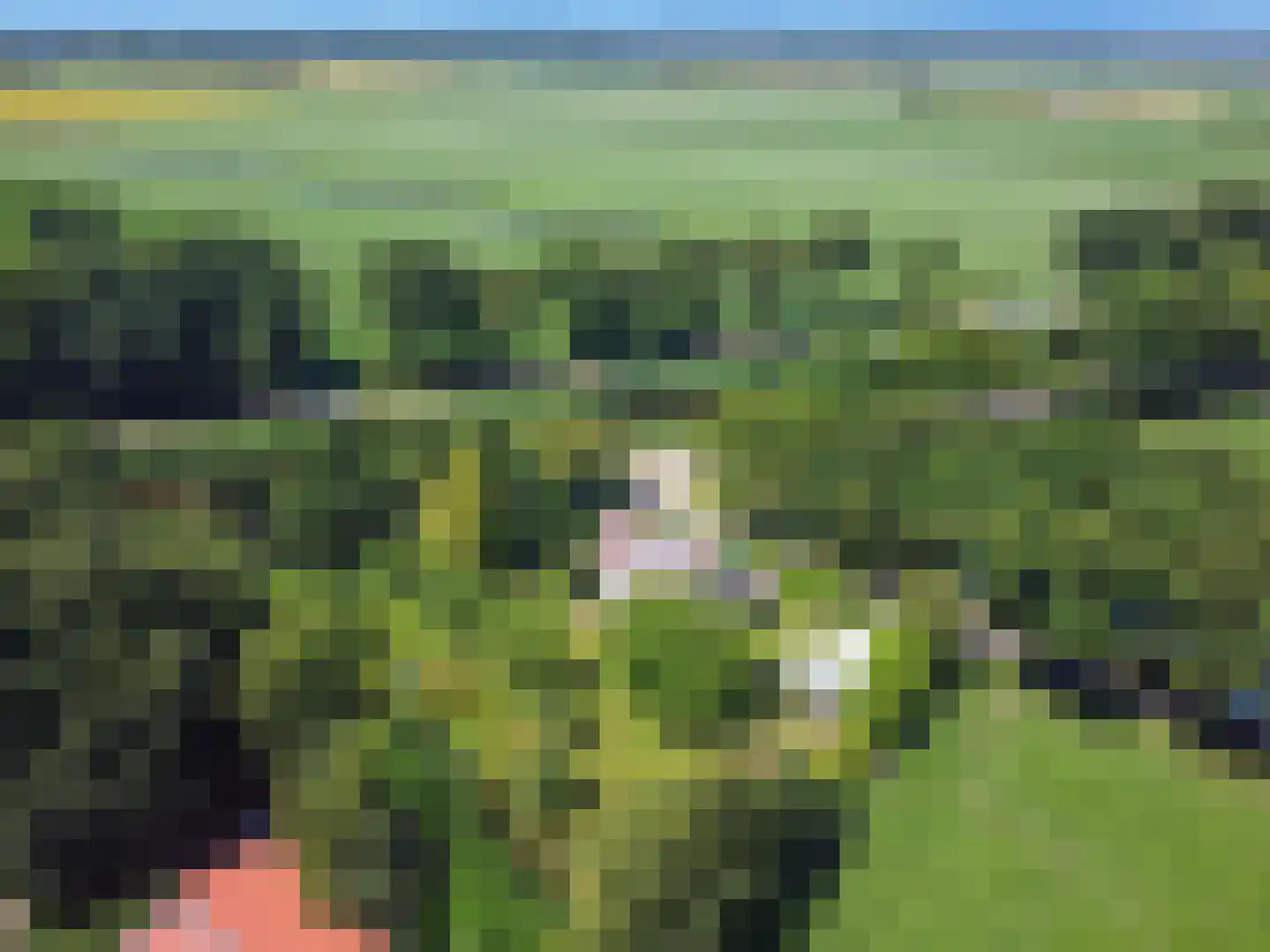 Veelerveensterweg 5 Vlagtwedde thumbnail 6