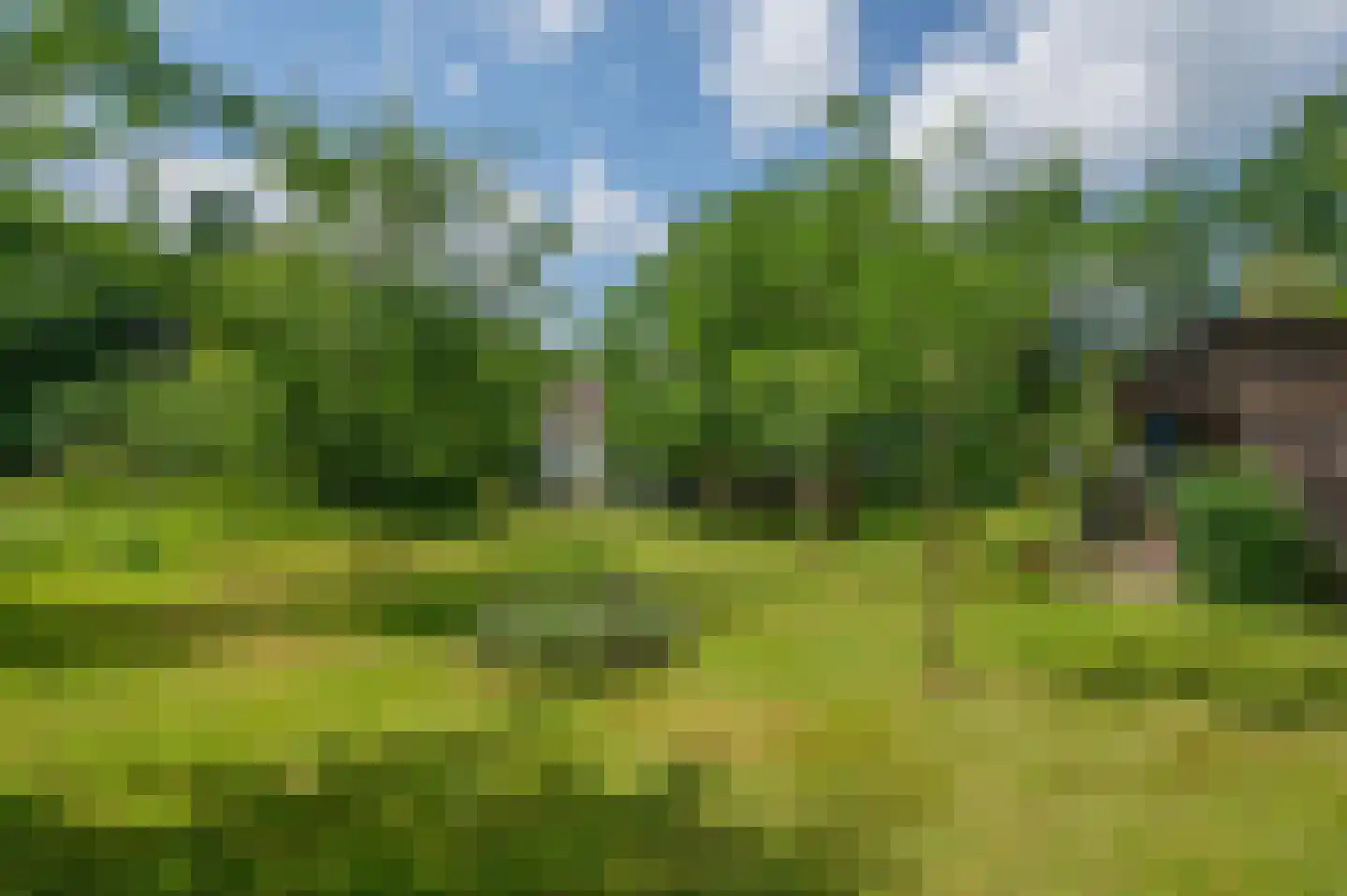 Veelerveensterweg 5 Vlagtwedde thumbnail 60
