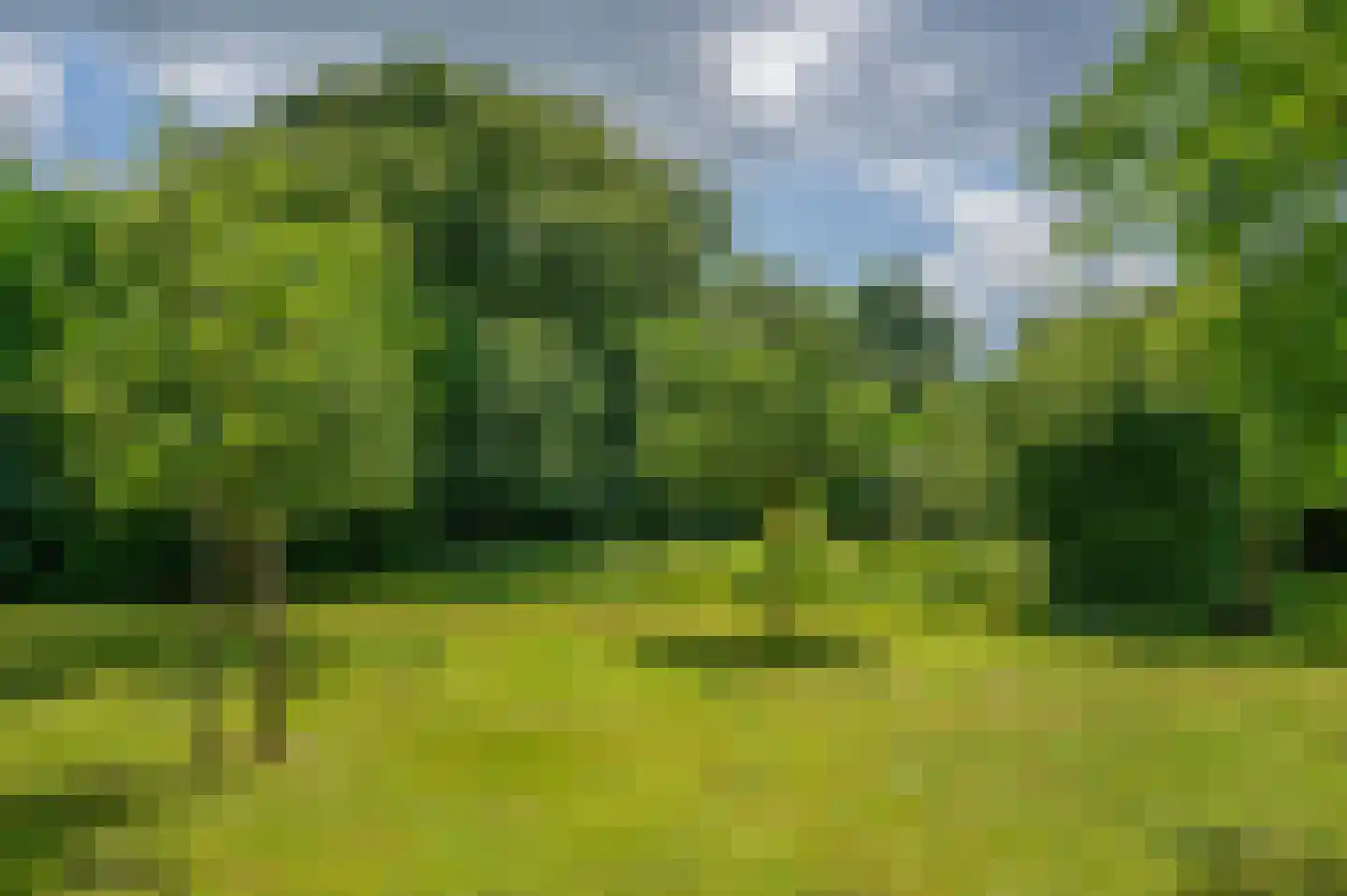 Veelerveensterweg 5 Vlagtwedde thumbnail 61