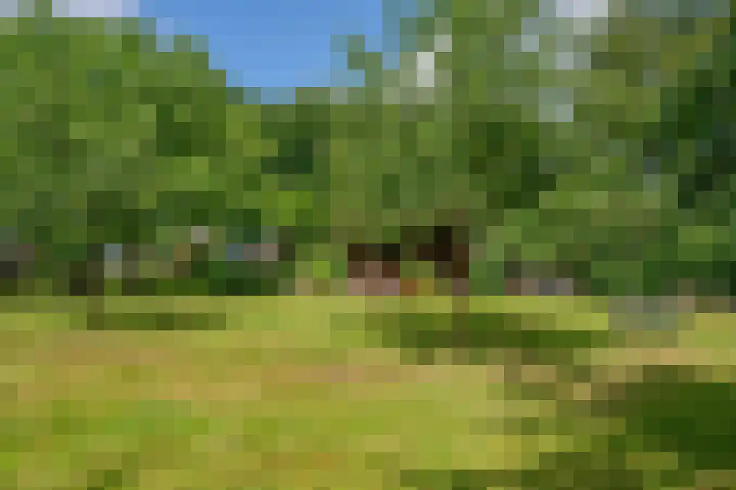 Veelerveensterweg 5 Vlagtwedde thumbnail 62