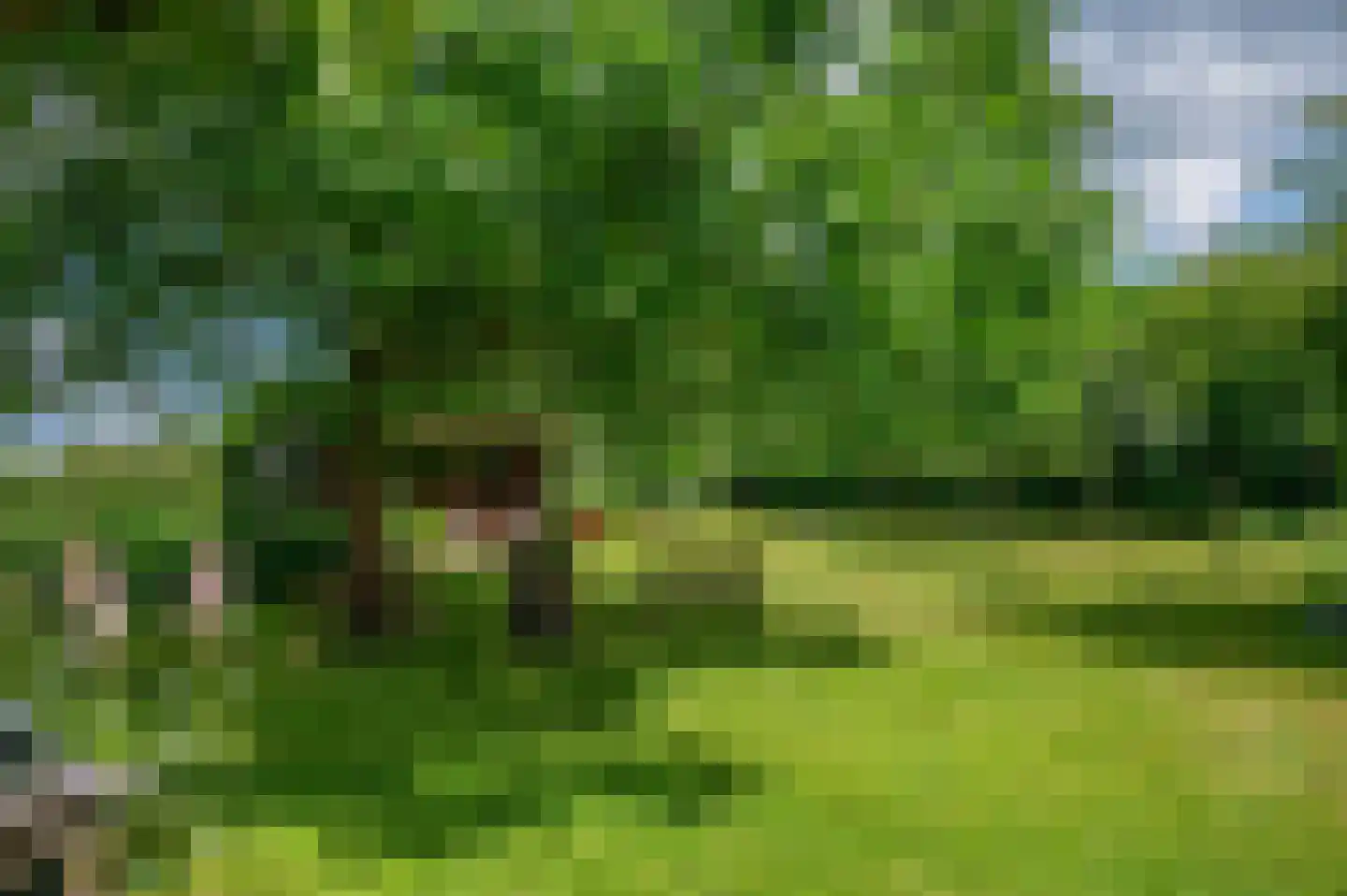 Veelerveensterweg 5 Vlagtwedde thumbnail 63