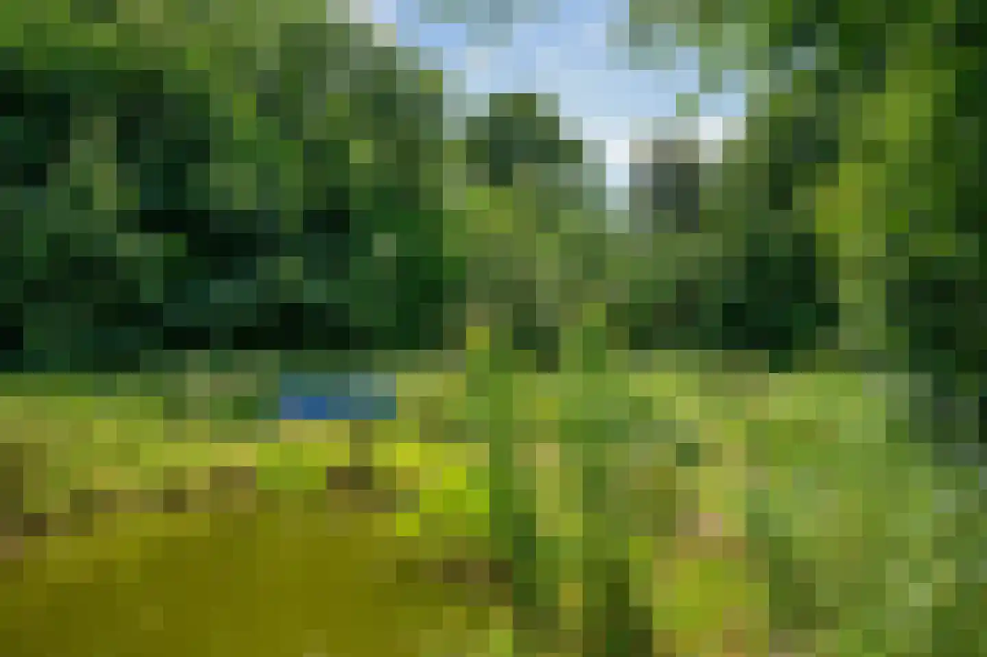 Veelerveensterweg 5 Vlagtwedde thumbnail 64
