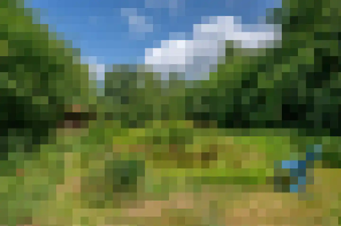 Veelerveensterweg 5 Vlagtwedde thumbnail 66
