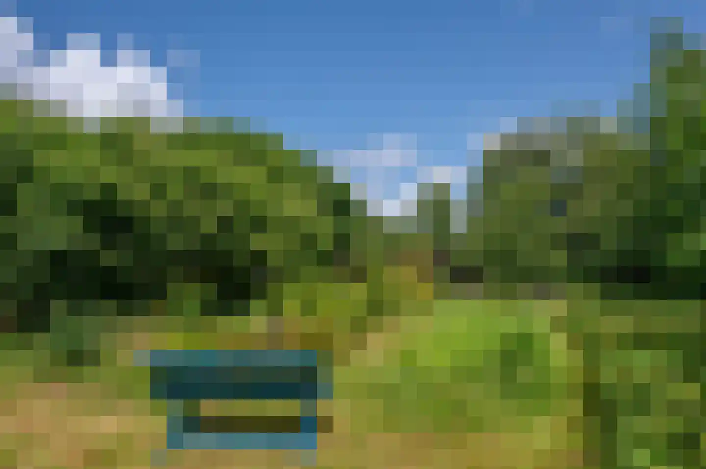 Veelerveensterweg 5 Vlagtwedde thumbnail 67