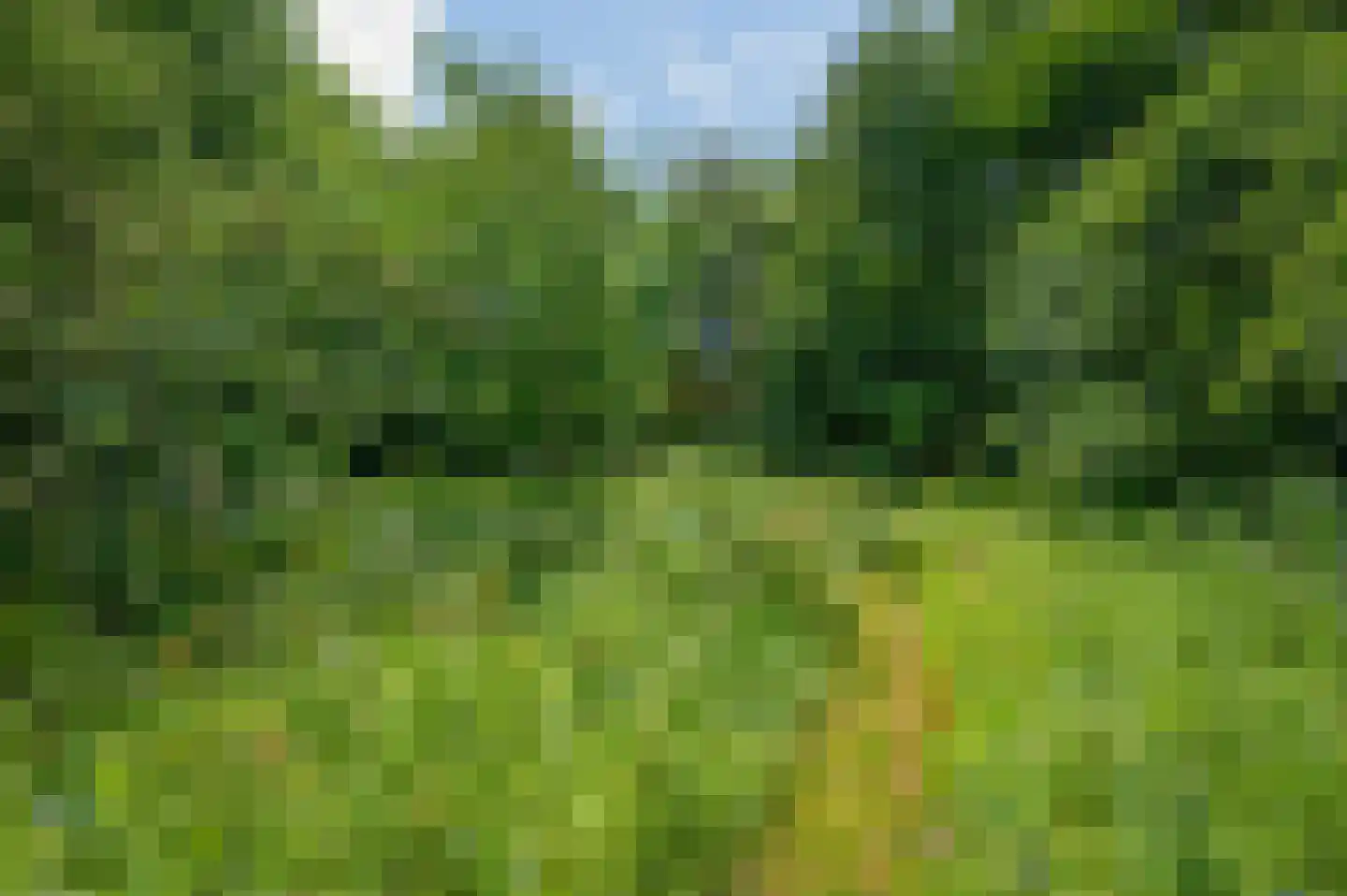 Veelerveensterweg 5 Vlagtwedde thumbnail 68